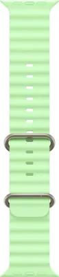 Immagine prodotto di Apple Natural Titanium Finish Band Verde Fluoroelastomero, Titanio