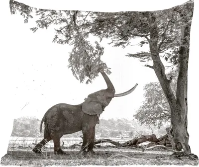 Produktbild von MuchoWow® Zierkissen Sofakissen Wohnzimmer Dekokissen 45x45 cm Elefant - Baum - Tiere - Schwarz und weiß - Schlafpolster - Polster für das Sofa