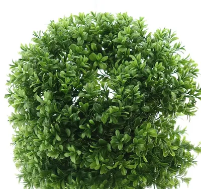 Produktbild von DPI Buchsbaumkranz Grün Ø 30 cm - Kunstpflanzen