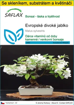 Obrázek produktu pro SAFLAX Kultivační sada - Evropské divoké jablko - Malus sylvestris - 30 Semena - S mini skleníkem, pěstebním substrátem a 2 květináči