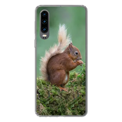 Produktbild von MuchoWow® Handyhülle Schutzhülle Hülle für Huawei P30 Waldtier - Eichhörnchen - Moos Silikon Softcase Handy Hülle - Kartenbesitzer
