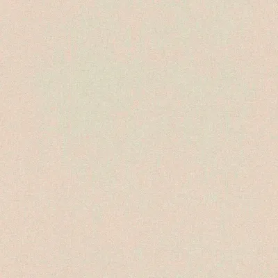 Produktbild von Rasch Vliestapete Color Your Life 633771 Uni Einfarbig Tapete 10.05 x 0.53 m Beige Wohnen Schlafen Küche Flur Eingangsbereich