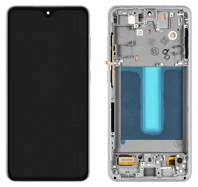 Produktbild von Samsung Galaxy S21 FE 5G Display (mit Rahmen) Schwarz
