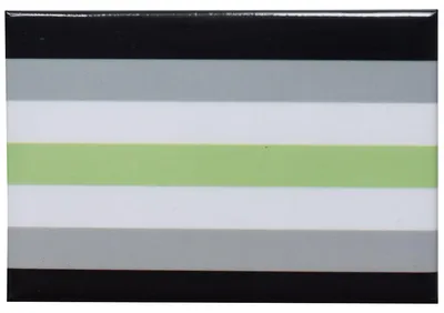Produktbild von Kühlschrankmagnet mit Agender Flaggen-Design, haftend auf Kühlschränken und Metallflächen, 5x7,8 cm