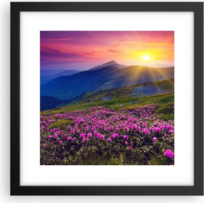 Produktbild von Gerahmtes Poster - Schwarzer Rahmen - Wiese Berge Landschaft - 30x30 cm - Wand Bild - Wanddeko - Wandbilder - Kunstposter - Wandposter - Bilderrahmen - Bilder - Kunstdruck - Wandbild - P2BAC30x30-2676