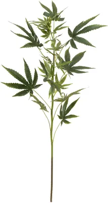 Produktbild von EUROPALMS Hanfzweig, künstlich, 90cm