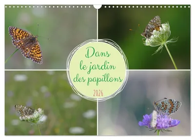 Image de Calendrier mural avec des papillons, année 2026, format A3