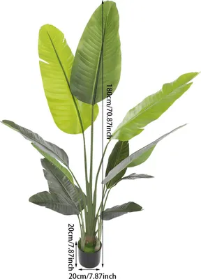 Produktbild von Künstliche Reisendenpalme - Kunstpalme Baum - 180 cm hoch - Große tropische Zimmerpflanze - PE Kunststoff - Deko für Wohnzimmer Büro - Grün