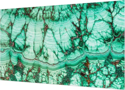 Produktbild von Wandtapete - Dekorative Tapete für Wohnzimmer  - Tapetenfolie für Wanddekoration - 416x254 - Grüne Muster