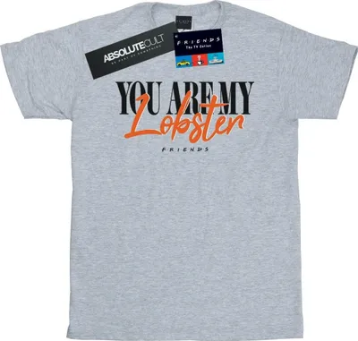 Produktbild von Friends - "Soul Mates" T-Shirt für Herren BI26232 (M) (Grau)