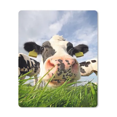 Produktbild von MuchoWow® Mauspad Mousepad Kuh - Bauernhof - Gras - Tiere 30x40 cm - Mousepads - Maus Mat - Pad - Mausunterlage - Mausmatten