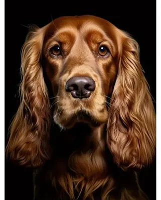 Image de NORIMPEX Diamantov Irish Ofenset, petit, 30 x 40 cm