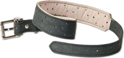Obrázek produktu pro Obojek z buvolí kůže Woodland® pro velké psy s obvodem krku 50-65 cm v antracitové barvě