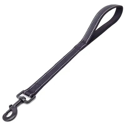 Image de Omgoods - Laisse pour chien de petite taille - Nylon