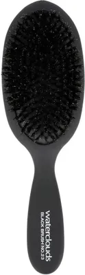 Image de Waterclouds Black Brush 23 Pure Bristle Brush