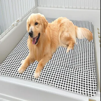Immagine prodotto di Cuccia per cani e gatti, 60x80 cm, nera, lavabile, calda e morbida