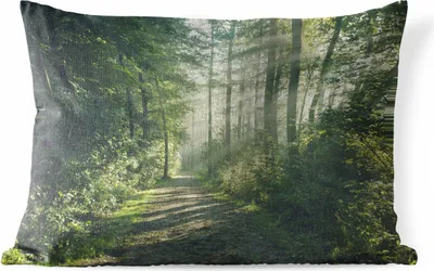 Produktbild von MuchoWow® Outdoor Kissen - Wald - Weg - Sonne - Bäume - Grün - Natur - 60x40 cm - Wetterfest - Lounge Kissen - Zierkissen - Kissen für Innenräume