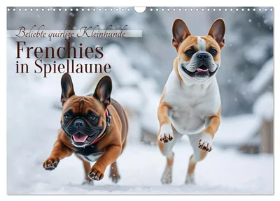 Produktbild von Frenchies in Spiellaune (Wandkalender 2027 DIN A3 quer), CALVENDO Monatskalender
