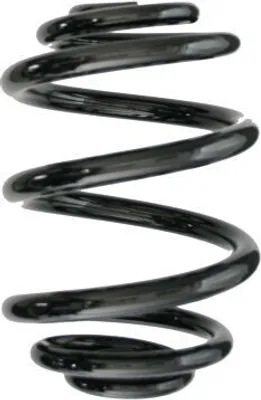 Produktbild von SPIDAN Fahrwerksfeder Hinten für VW Golf IV Schrägheck (1J1) 85707