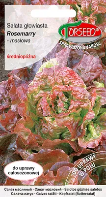 Produktbild von Samen von Kopfsalat (für den Anbau im Garten und Feld) Rosemarry 0.5g - Torseed