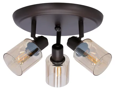 Zdjęcie produktu dla Lampa reflektor spot AGRA 98-25067 Candellux