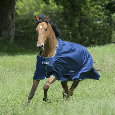 Produktbild von Bucas Smartex Turnout Extra Classic 300g - blue, 145