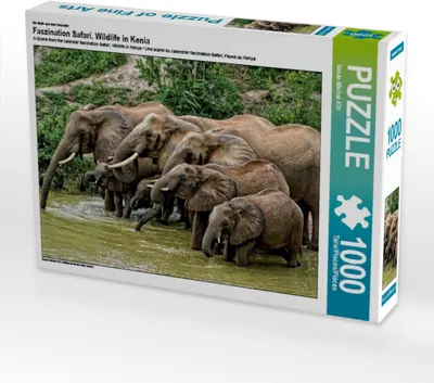 Produktbild von Calvendo Ein Motiv aus dem Kalender Faszination Safari. Wildlife in Kenia 1000 Teile Puzzle quer 640x480mm, Michel /CH Susan; 7288876