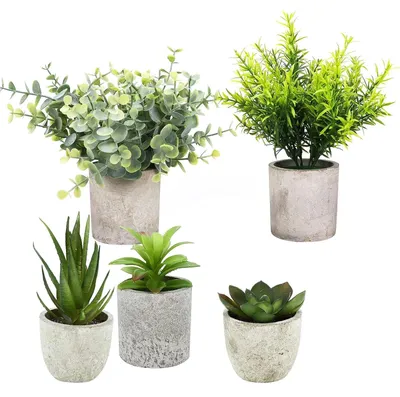 Image de 5 pièces de plantes artificielles - Plantes décoratives réalistes pour l'intérieur