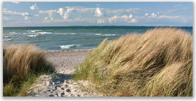 Produktbild von Tulup Leinwand-Bilder 140x70 Wandbild Canvas Kunstdruck Fußpfad Meer Gras Landschaft