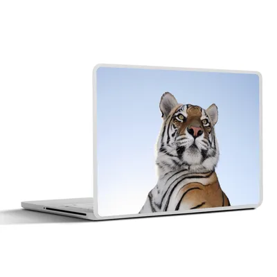 Produktbild von MuchoWow® Laptop Aufkleber Sticker Cover Tiger - Himmel - Kopf 30x21 cm - Sticker für Laptop - Selbstklebend