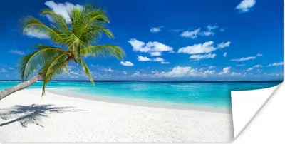 Produktbild von MuchoWow® Poster Strand - Meer - Palme - Insel 40x20 cm - Poster für die Wand - Poster Schlafzimmer