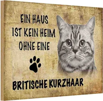 Produktbild von vianmo Holzschild 12x18 cm Britische Kurzhaar Katze Tier Haustier