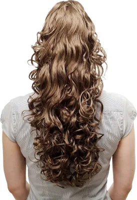 Produktbild von WIG ME UP Zopf, lockig, Dunkles Aschblond N310-14