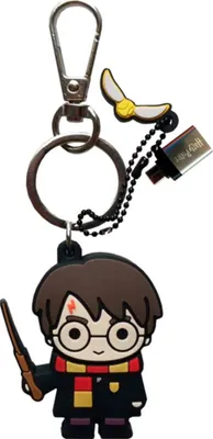 Image de Clé USB 3.2 + USB C 32GB Harry Potter Wondee
