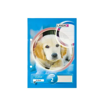 Produktbild von Landré Schulblock A5, 50 Blatt,80 ggelocht, kopfgeleimt, Lineatur 1
