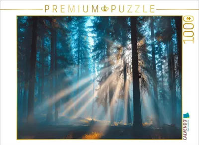 Produktbild von CALVENDO Puzzle Zwischen Licht und Traum die Welt erwacht | 1000 Teile Lege-Größe 64x48cm Foto-Puzzle für glückliche Stunden