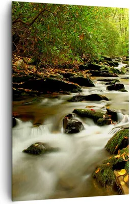 Produktbild von Bild auf Leinwand - Leinwandbild - Einteilig - Bäume Strom Felsen - 80x120cm - Wand Bild - Wanddeko - Wandbilder - Leinwanddruck - Wanddekoration - Leinwand bilder - Wandbild - PA80x120-0152