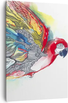 Produktbild von Bild auf Leinwand - Leinwandbild - Einteilig - Parrot Flügel Federn Natur - 70x100cm - Wand Bild - Wanddeko - Wandbilder - Leinwanddruck - Wanddekoration - Leinwand bilder - Wandbild - PA70x100-3008