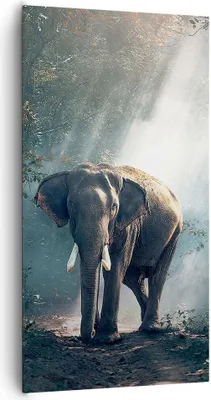 Produktbild von Bild auf Leinwand - Leinwandbild - elefant natur - 65x120cm - Wand Bild - Wanddeko - Wandbilder - Leinwanddruck - Bilder - Kunstdruck - Wanddekoration - Leinwand bilder - Wandkunst - PA65x120-3972