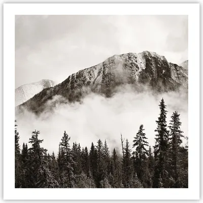 Produktbild von Poster - Poster ohne Rahmen - Nebel Berg Wald - 60x60 cm - Wand Bild - Wanddeko - Wandbilder - Kunstposter - Wandposter - Bilder - Kunstdruck - Wanddekoration - Wandbild - P2XAC60x60-4936