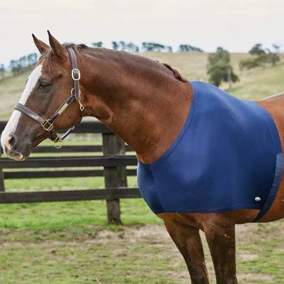Image de Protection d'épaule stretch Weatherbeeta - bleu marine
