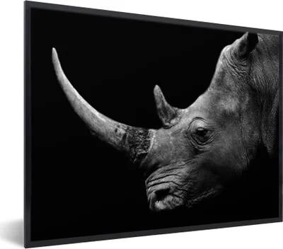 Produktbild von MuchoWow® Gerahmtes Poster Nashorn - Tiere - Schwarz - Weiß - Porträt 40x30 cm - Poster mit Schwarzem Bilderrahmen Wandposter Rahmen Foto Bilder - Kunstposter - Wanddekorationen