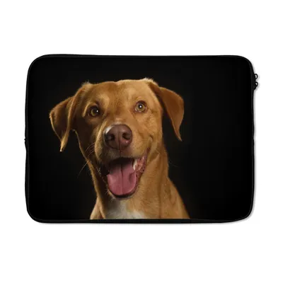 Produktbild von MuchoWow® Laptop Hülle 13 Zoll Hund - Haustiere - Porträt Laptoptasche - Laptophülle - Sleeve - Rundumschutz