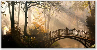 Produktbild von Tulup Leinwand-Bilder 140x70 Wandbild Canvas Kunstdruck Wald Brücke Architektur