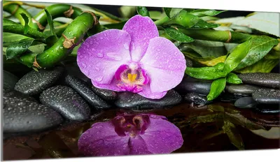 Produktbild von Herdabdeckplatte 90x52 Glaskeramikkochfeld Abdeckung Spritzschutz Glasplatte Deko Schneidebrett, Orchidee Violett