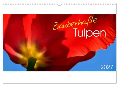 Produktbild von Zauberhafte Tulpen (Wandkalender 2027 DIN A3 quer), CALVENDO Monatskalender