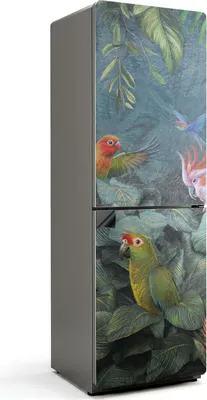 Zdjęcie produktu dla Tropikalne ptaki w dżungli - Magnetyczna osłona lodówki - Folia dekoracyjna magnetyczna do kuchni - Magnes na lodówkę - Samoprzylepna tablica magnetyczna - Folia magnetyczna na drzwi lodówki - 60x180 cm