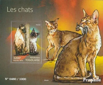 Produktbild von Briefmarken Togo 2015 Mi Block 1194 (kompl. Ausgabe) postfrisch Katzen