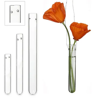 Produktbild von Reagenzglas mit Loch zum Aufhängen, 15 cm, 12 Stück, Glas-Röhrchen für Blumen zum Hängen