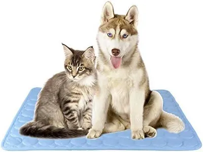 Produktbild von Haustier-Matte Kühlkissen für Katzen und Hunde Nicht Giftig/Blau (L)